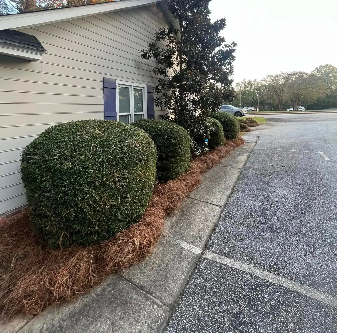 Planter Maintenance